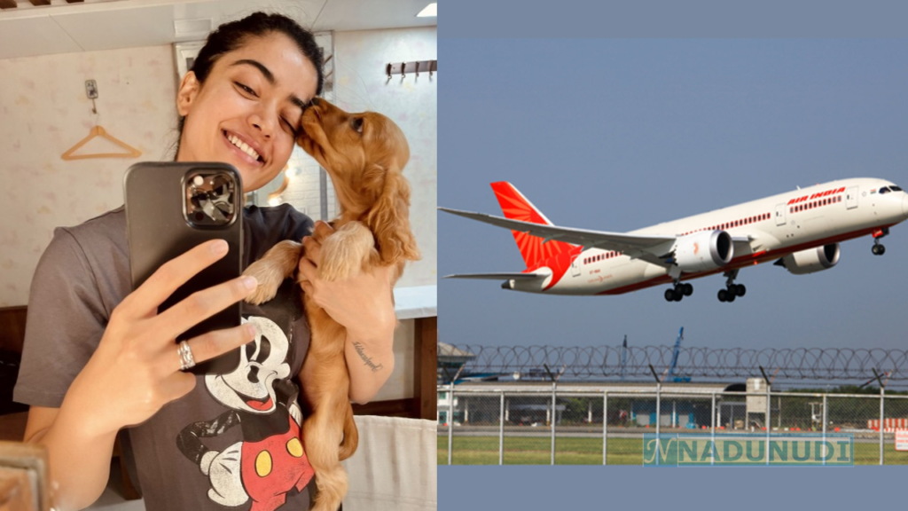 Rashmika mandanna dog