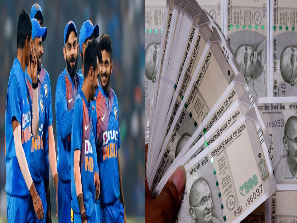 T 20 Cricket Players Remuneration