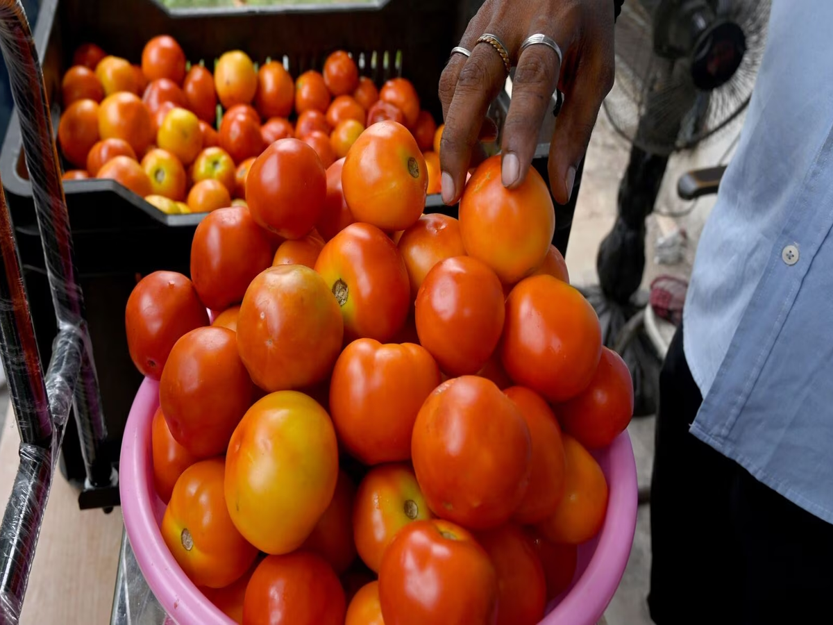 tomato price hike latest news update
