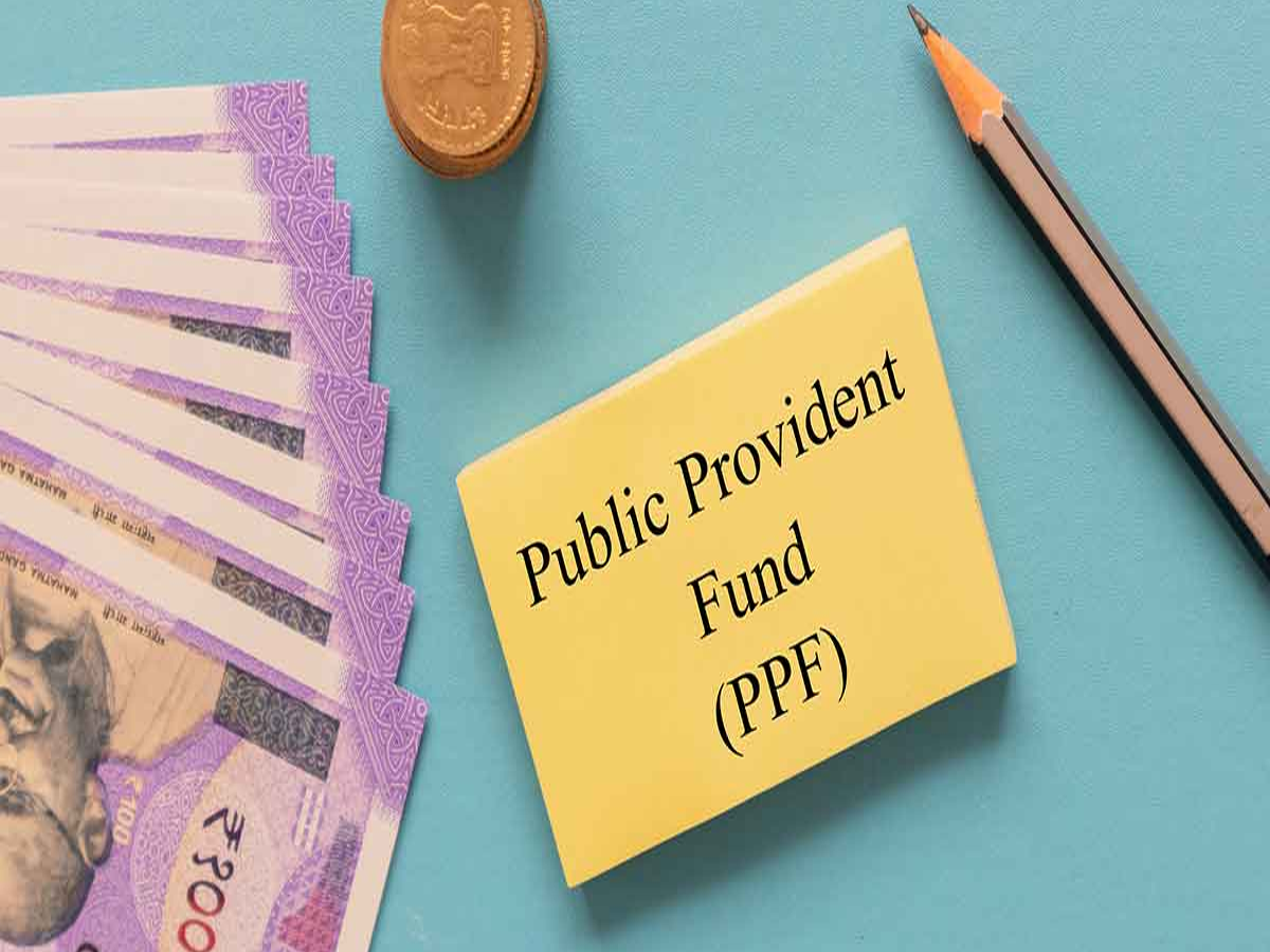 Public Provident Fund profit