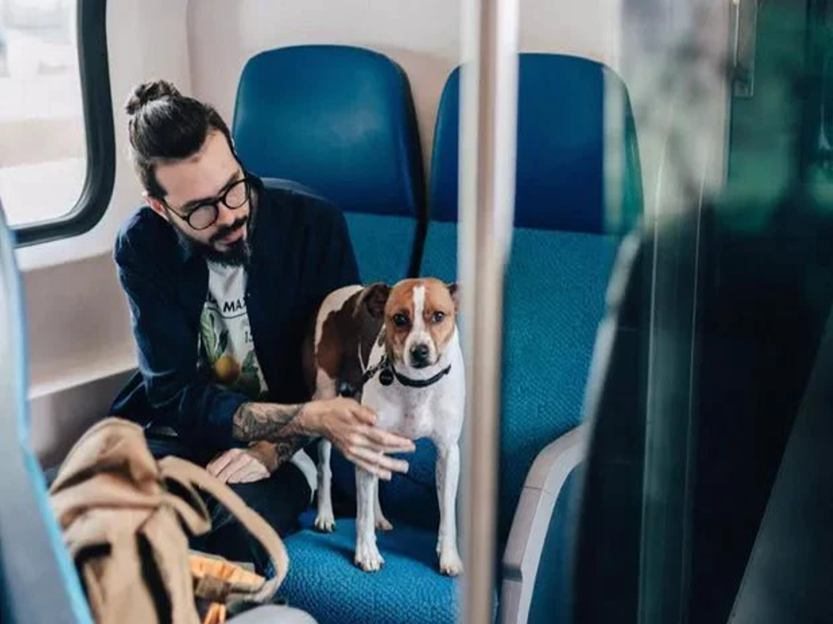 Railway New Rule For Traveling With Pets