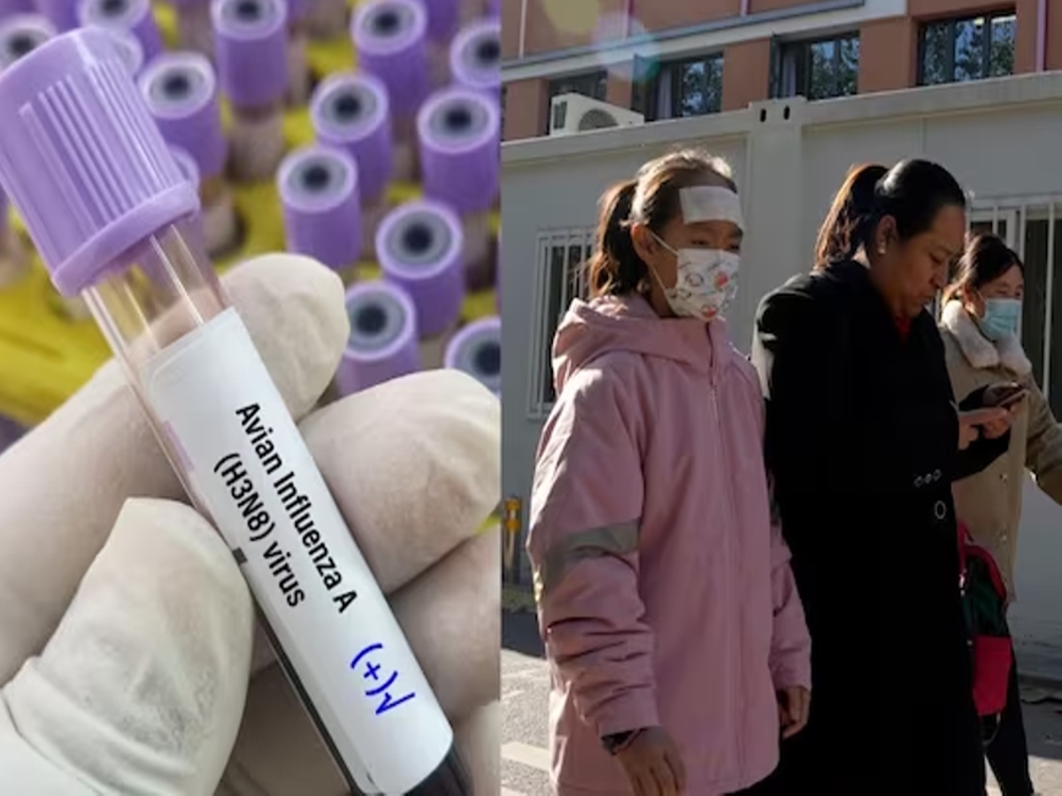 China influenza Virus 2023