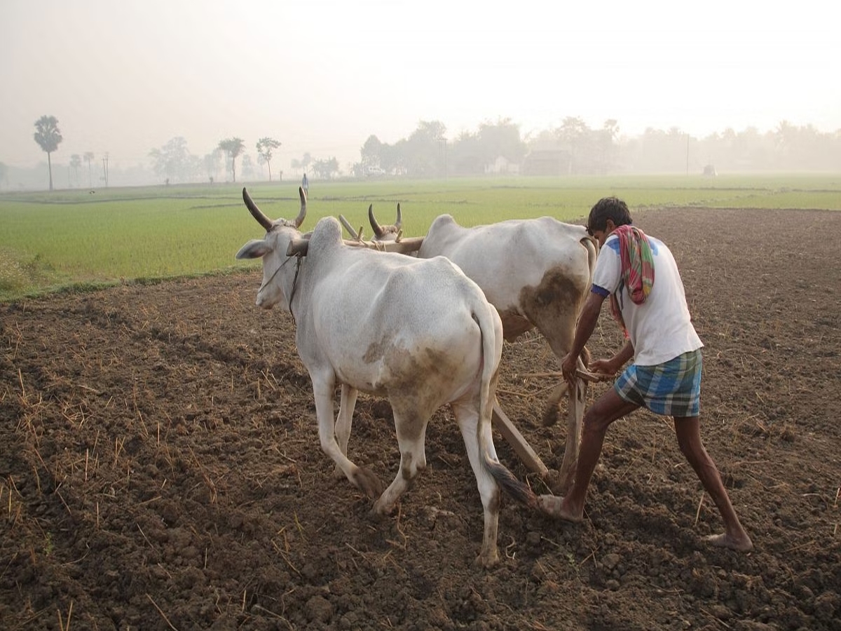 Farmers Loan In Karnataka