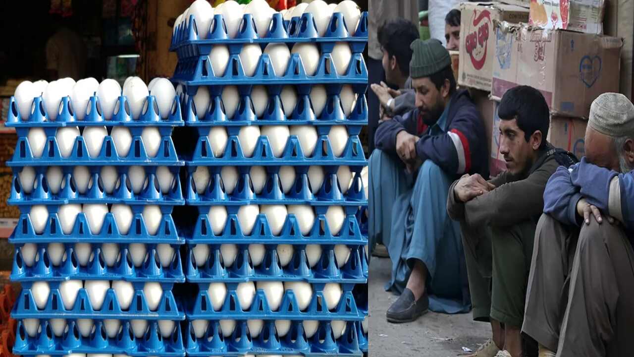 Egg Price in pakistan