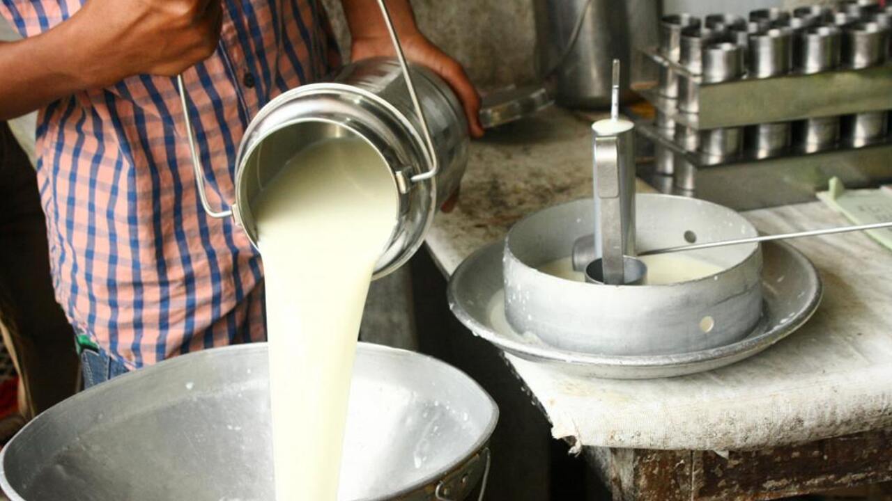 Milk Price Down News