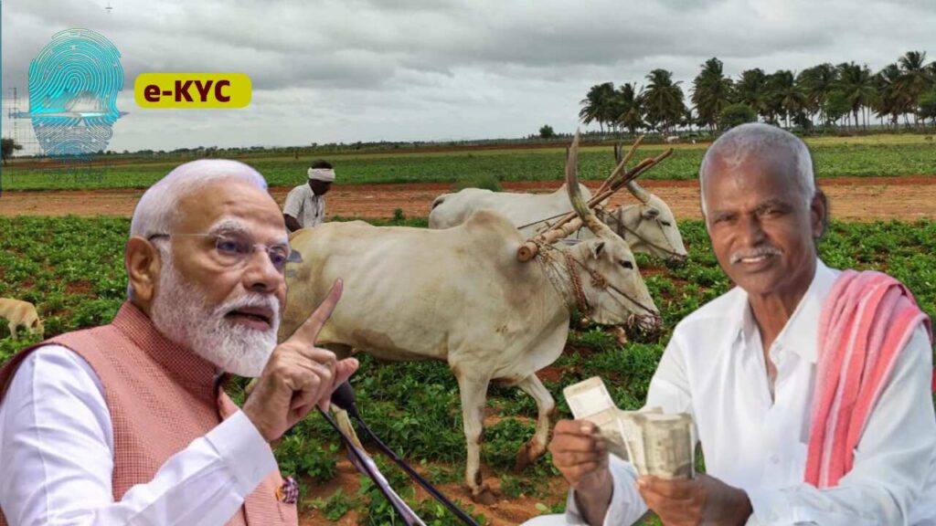 Farmer checking PM Kisan 20th installment status on mobile phone