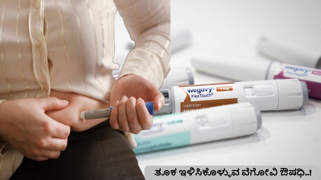A Wegovy injection pen device for weight loss, showcased on a white background with a clean, professional look.