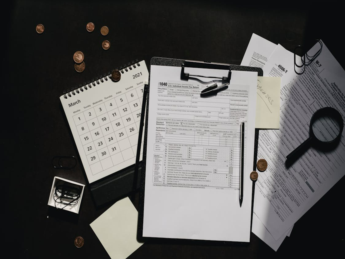 Taxpayer preparing ITR documents online for FY 2024-25 filing
