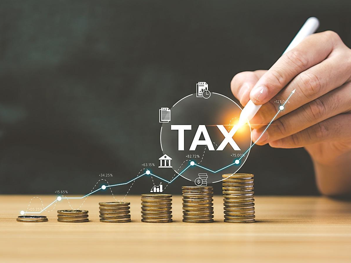 Form 12BBA for income tax exemption illustration