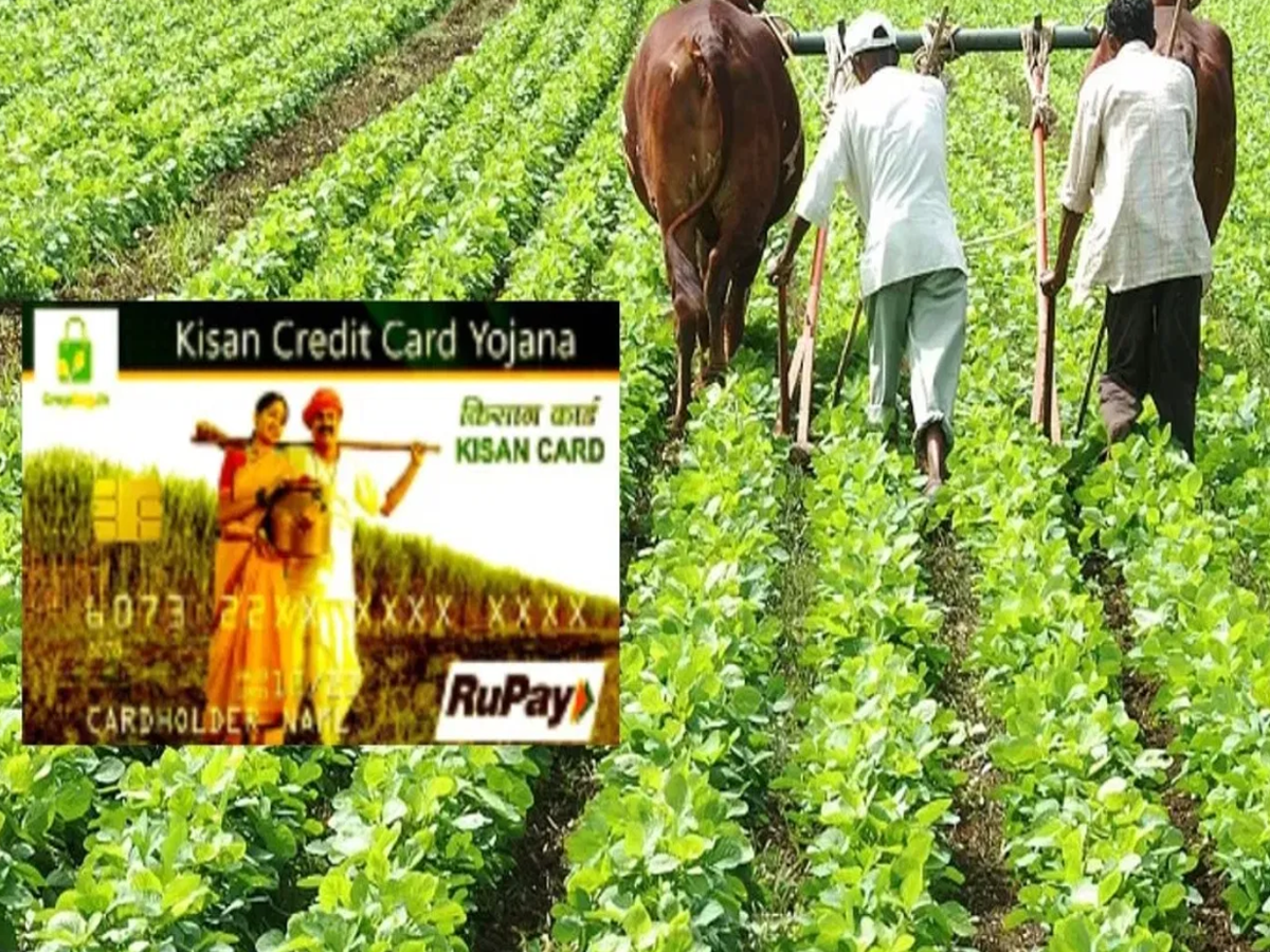 Union Budget 2025 announcement on KCC loan limit increase