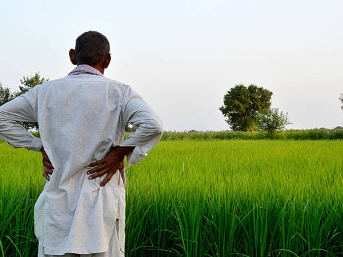 Karnataka farmer checking PM Kisan scheme status on smartphone in a rural setting