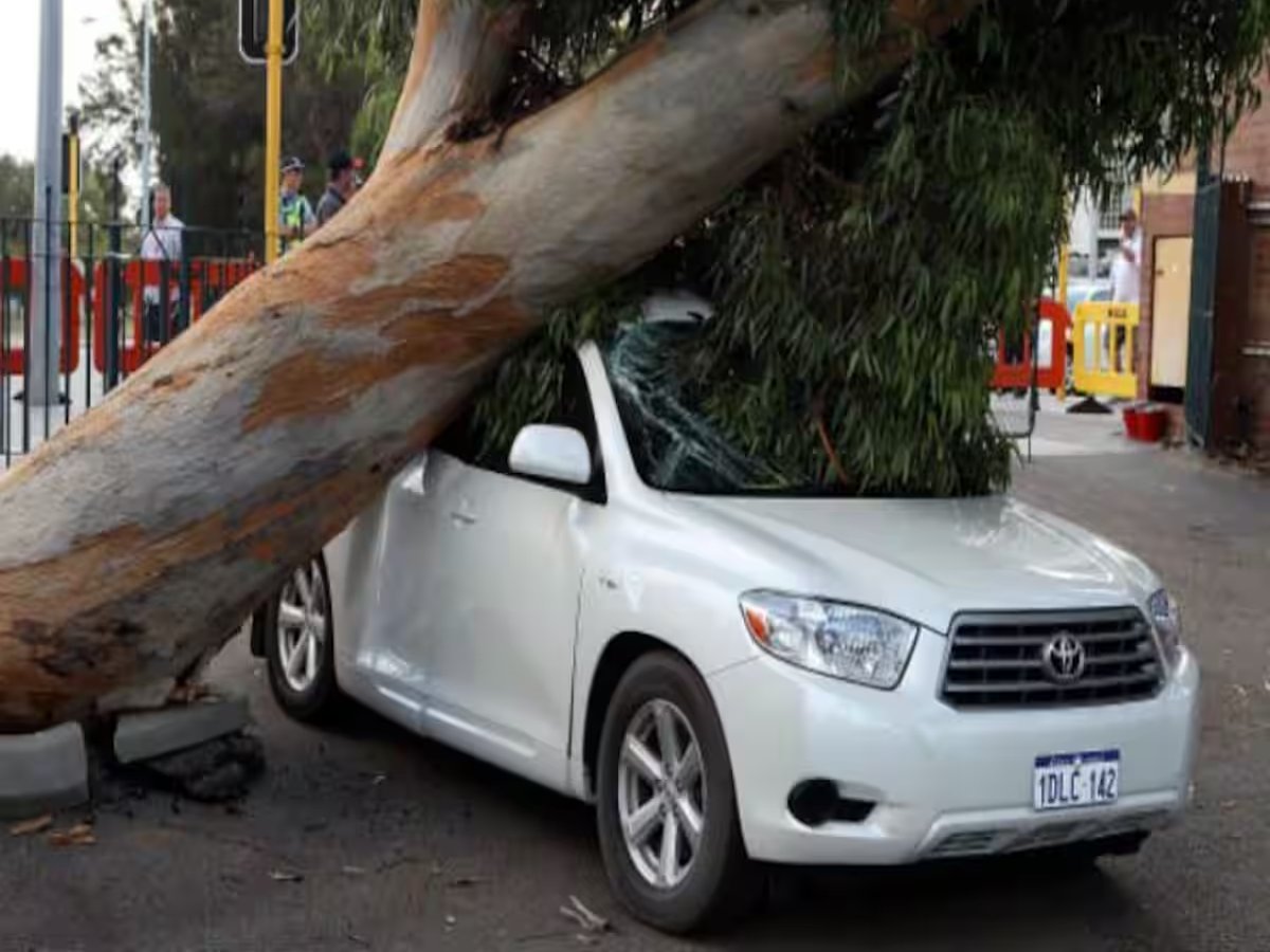 Car damaged by fallen tree in heavy rain – Image showing a vehicle crushed under a tree branch during a storm, illustrating comprehensive insurance coverage for natural disasters.