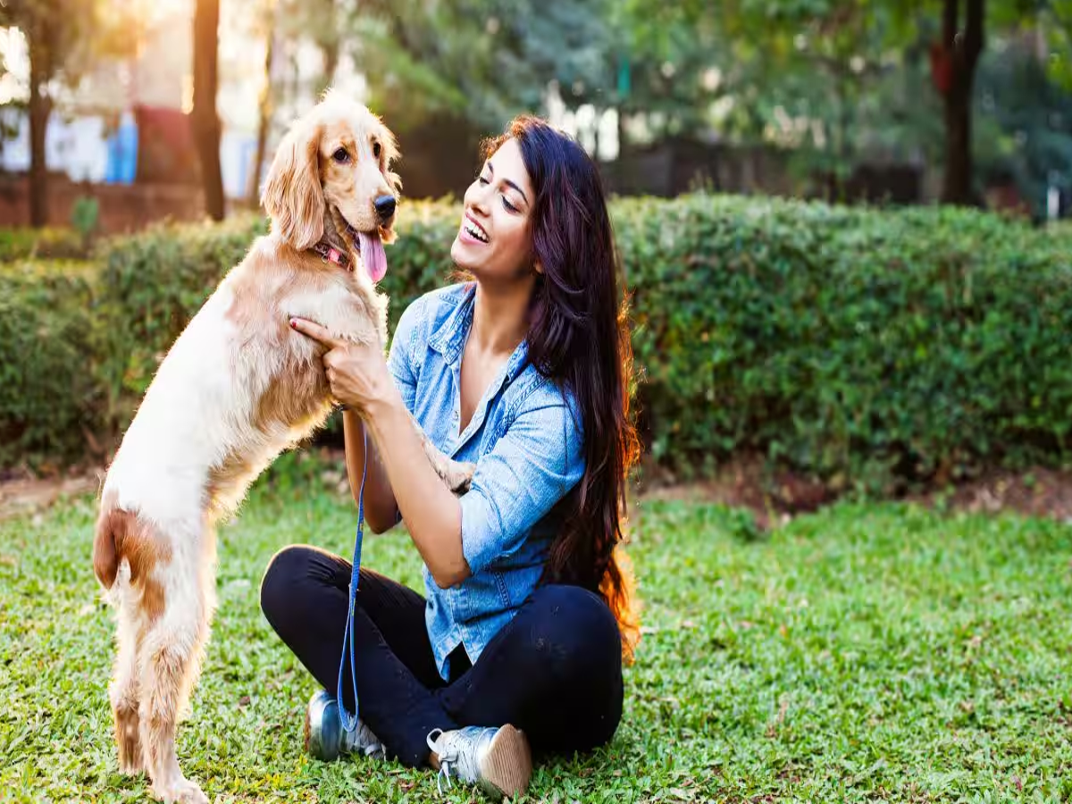 A happy dog and cat with a pet insurance policy document, symbolizing pet care and financial protection.
