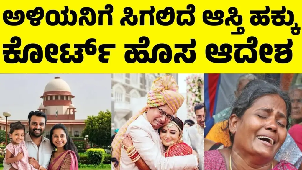 property rights of son in law