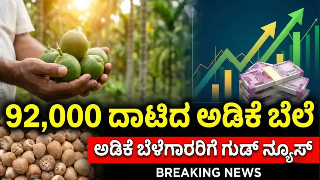 92,000 ರೂಪಾಯಿ ದಾಟಿದ ಅಡಿಗೆ ಬೆಲೆ, ಯಾವ ಮಾರುಕಟ್ಟೆಯಲ್ಲಿ ಎಷ್ಟು ಬೆಲೆ ತಿಳಿದುಕೊಳ್ಳಿ Arecanut varieties in Karnataka market during December 2025 price update